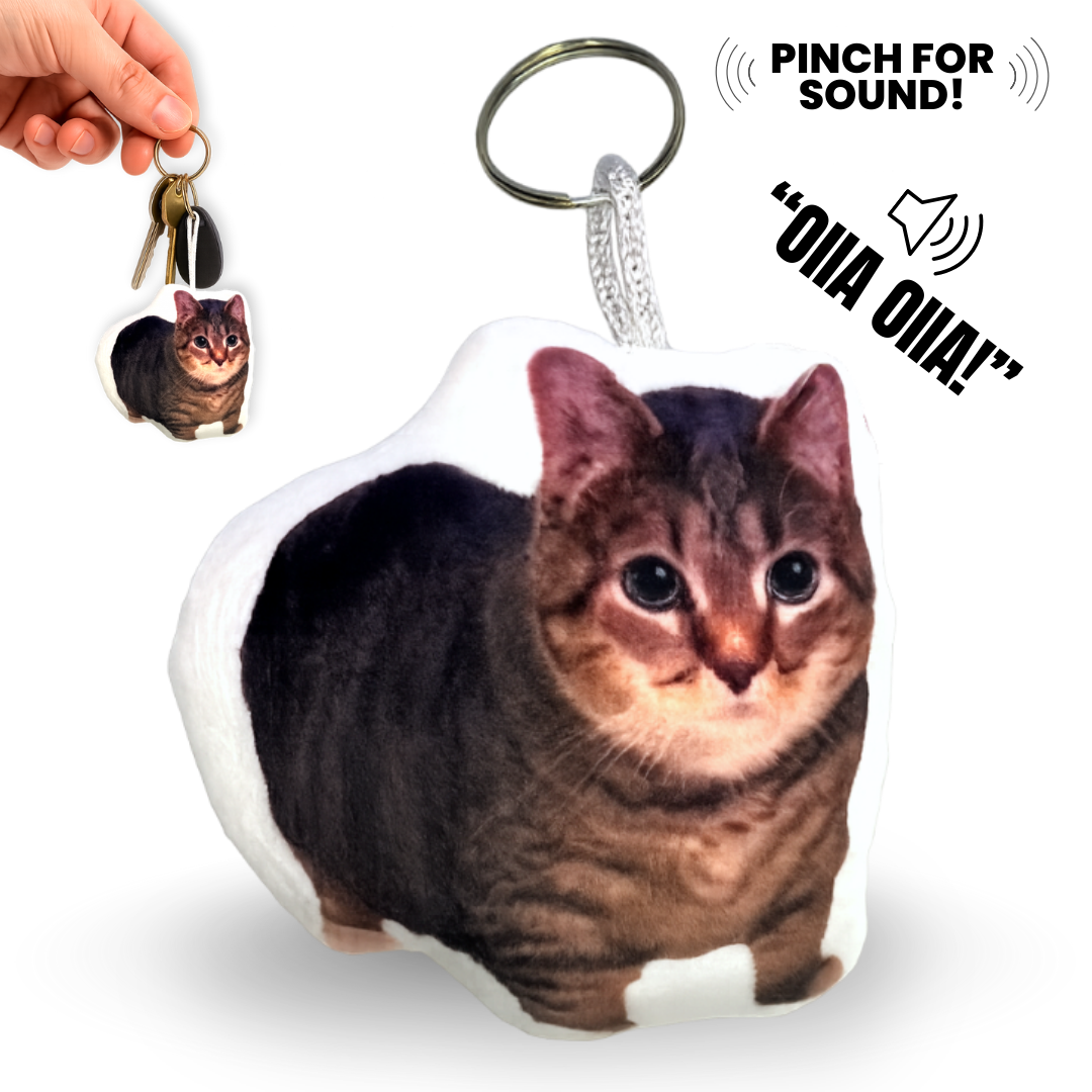 OIIA Spinning Cat Meme Keychain - Viral Sound Keychain with OIIA OIIA Button, Funny Gag Gift for Meme Fans & Friends, 2.5x3 Inches