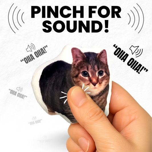 OIIA Spinning Cat Meme Keychain - Viral Sound Keychain with OIIA OIIA Button, Funny Gag Gift for Meme Fans & Friends, 2.5x3 Inches