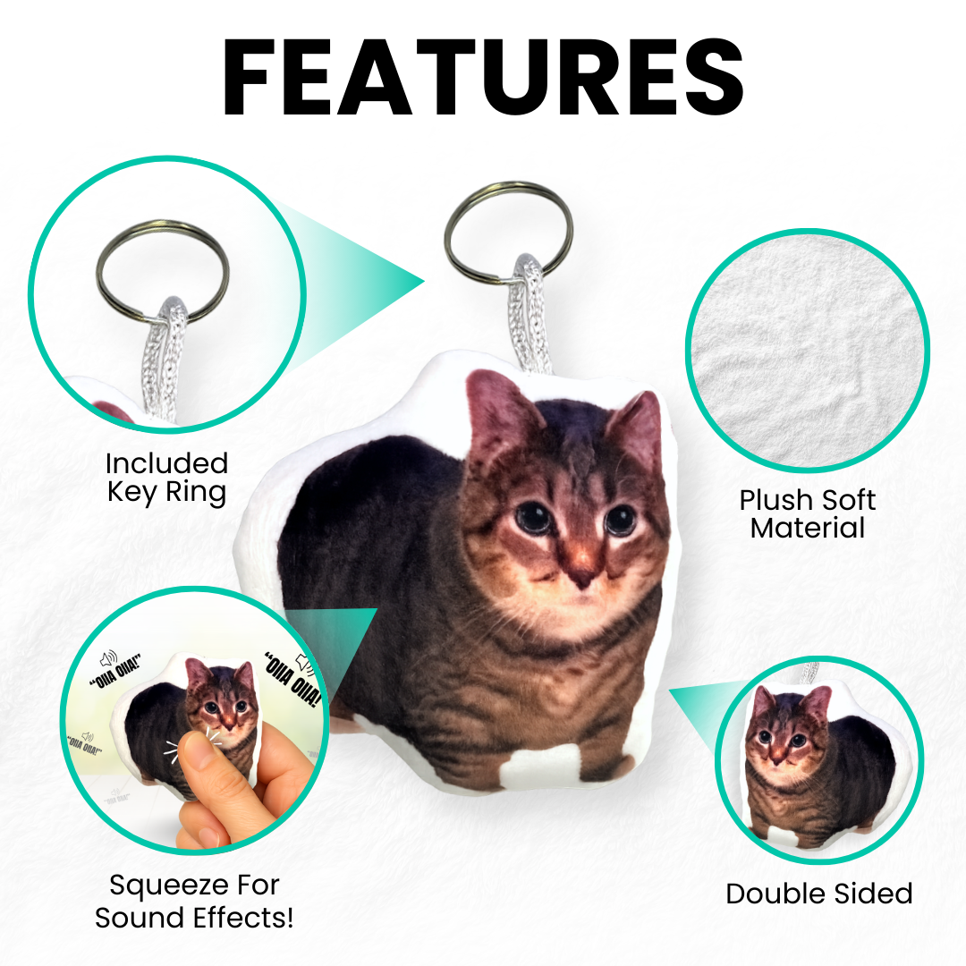 OIIA Spinning Cat Meme Keychain - Viral Sound Keychain with OIIA OIIA Button, Funny Gag Gift for Meme Fans & Friends, 2.5x3 Inches